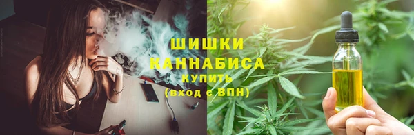 дживик Беломорск