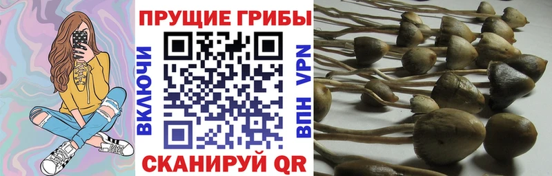 mega зеркало  Светлый  Галлюциногенные грибы прущие грибы 